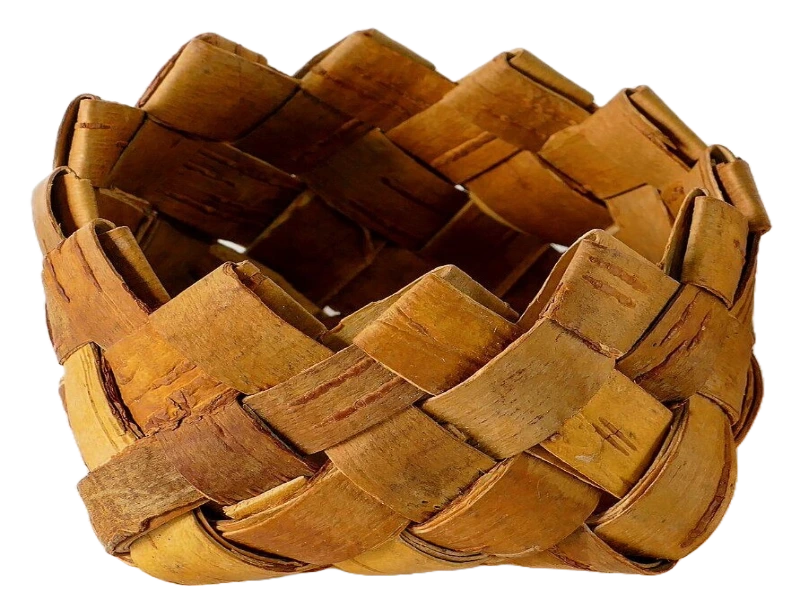 Birkenrinde richtig ernten: Anleitung für nachhaltige Gewinnung