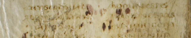 Codex vercellensis Textausschnitt