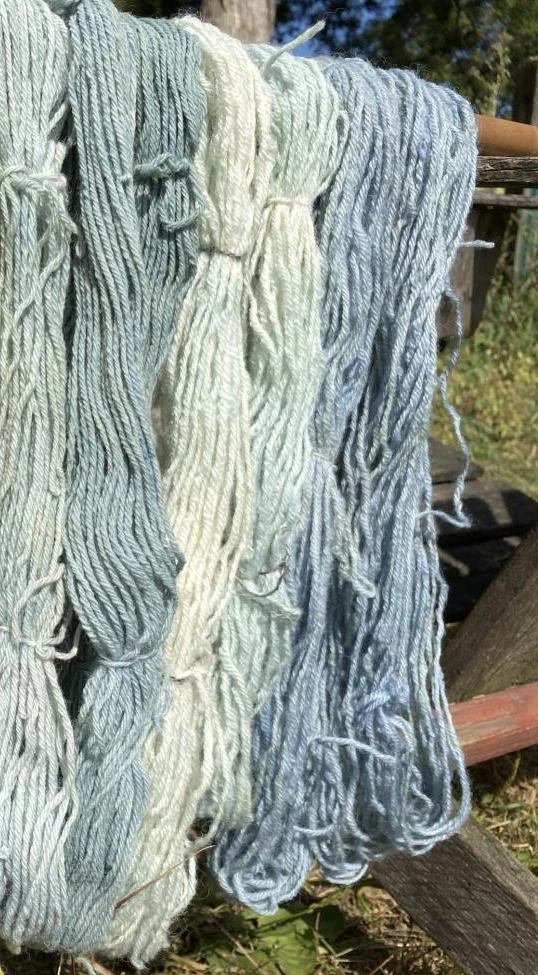 Wolle mit Waid in leichten Blaut&ouml;nen