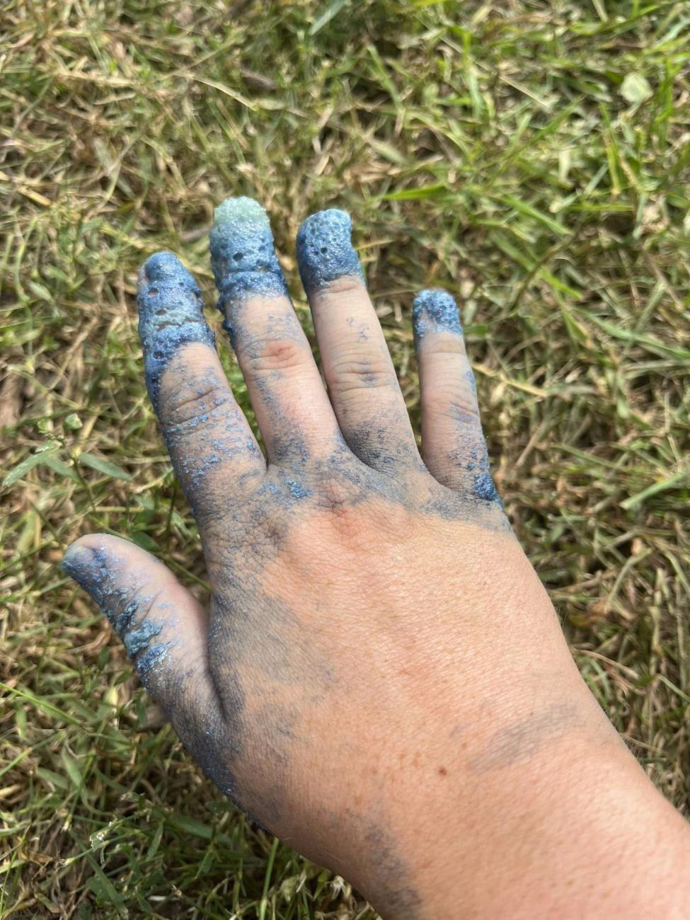 indigo-faerben3.webp