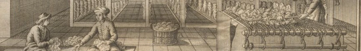Illustration zum Thema: Wolle nach dem Waschen auflockern, schlagen & einschmalzen
