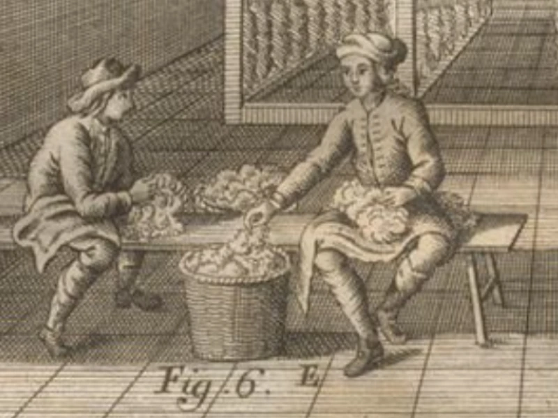 Auszupfen der Wolle per Hand